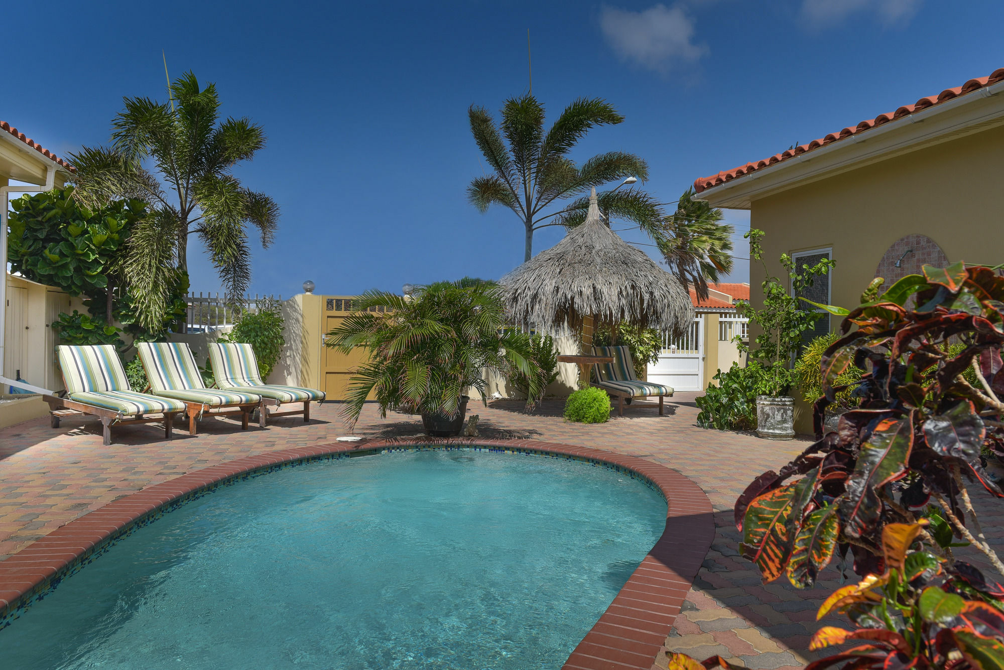 Little Paradise Aruba Vacation Apartments Palm Beach Eksteriør billede
