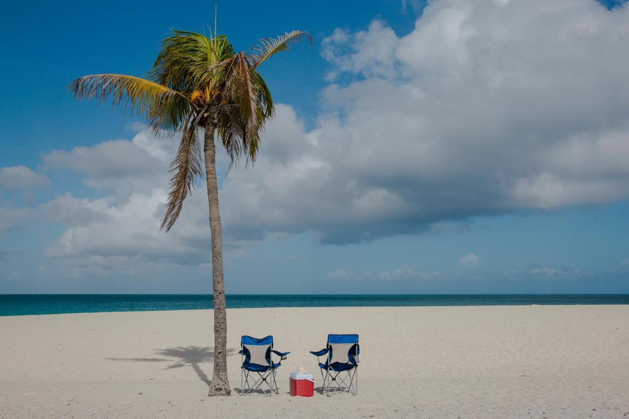 Little Paradise Aruba Vacation Apartments Palm Beach Eksteriør billede